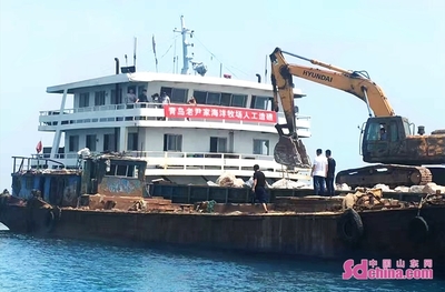 老尹家海參 國家級海洋牧場的“青島樣板”與海水養殖技術研發新篇章